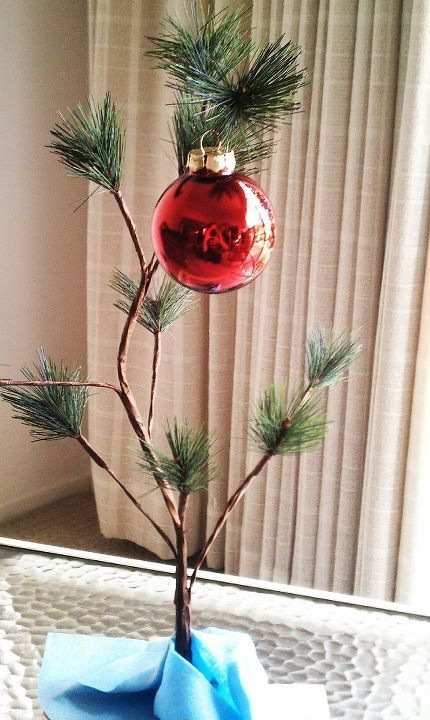My buds tree lol. I thought he like the Charlie brown Christmas turns out he was