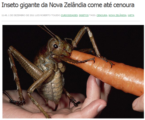 Enquanto isso, na Internet...