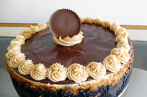 thecakebar:peanut butter fudge cheesecake! (recipe)