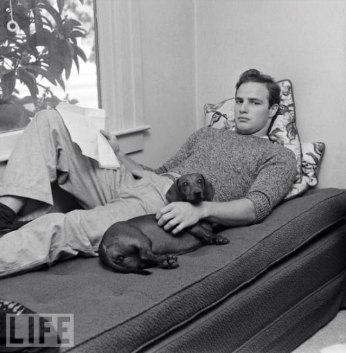 fuckyeahradsweaters:Marlon Brando