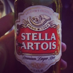 Free Stella, thanks Windows Phone Launch