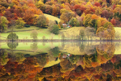 bluepueblo:  Autumn Reflection, Grasmere,