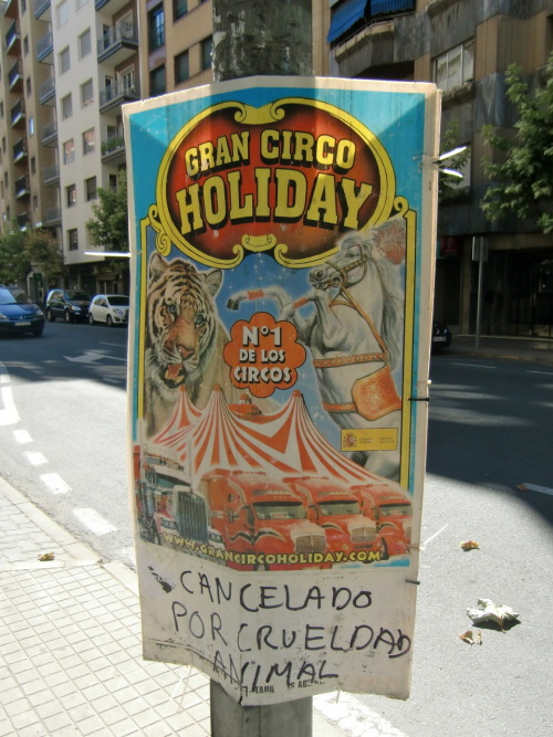 (Salamanca, Fall 2011)