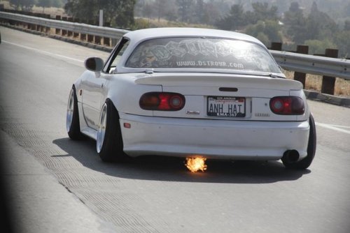 4lughero:  EWG Fire? I don’t get it haha.