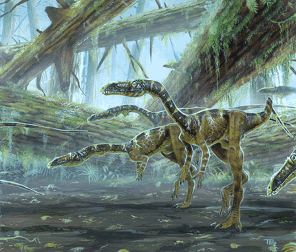 Coelophysis When: Late Triassic (~215 to 200 million years ago)Where: Restricted to South Western Un