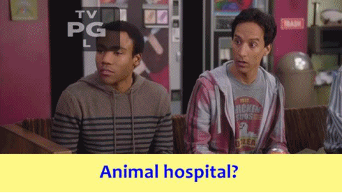 spendingtimewatching:Animal hospital - Community 3x09