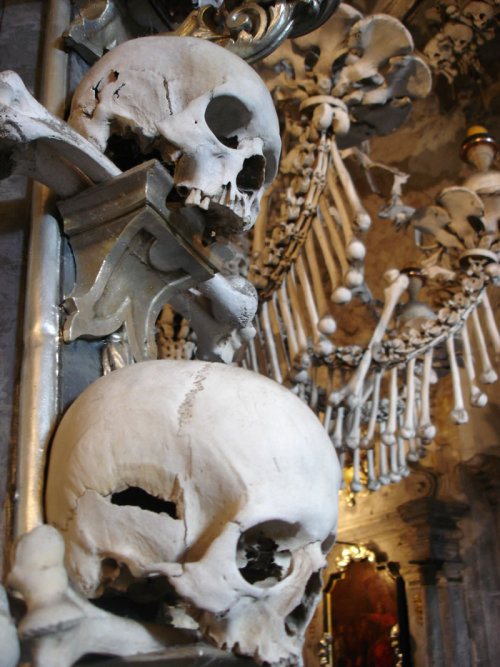 madelezabeth:  skandning:  Outside of Prague, in the Czech Republic, is a small Roman Catholic Church that looks normal on the outside but holds 40,000 to 70,000 skeletons on the inside. Officially called the Sedlec Ossuary, it is often just referred