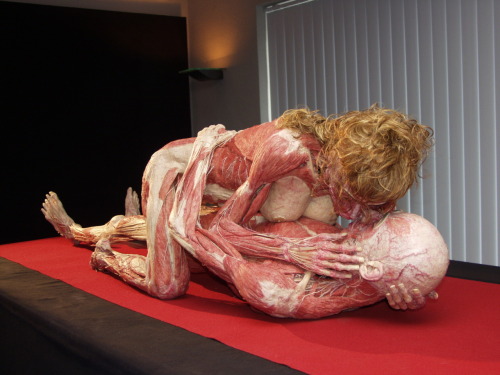 godessofhell:  darf man-Gunther Von Hagens 