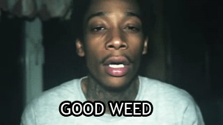 when you smoke the herb it reveals you to yourself