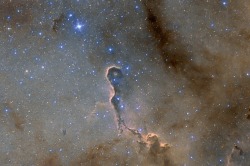 n-a-s-a:  IC1396 - Elephant’s Trunk nebula