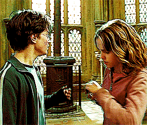 My Life Potter