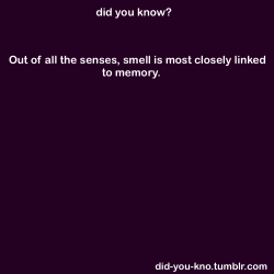 did-you-kno:  Source  i get flashbacks i get when i smell something familiar.