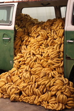 neon-fruit-supermarket:  Paulo Nazareth, Banana Market/Art Market, 2011    For contemporary-art haters,Paulo Nazareth’s Banana Market/Art Market installation piece was low-hanging fruit. By that I mean the Brazilian artist shipped thousands of bananas