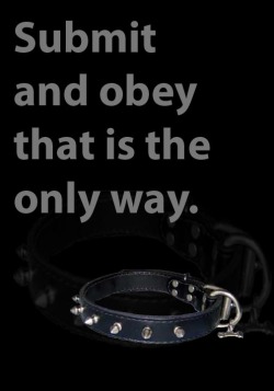 white-slaves-4-black-owners:  This message is for you whitebois.  Go ahead, do it… put that collar around your neck, admit your inferior existence, accept your defeat and kneel in reverence to the first Black Male you see.  LET BBC RULE YOU!!!