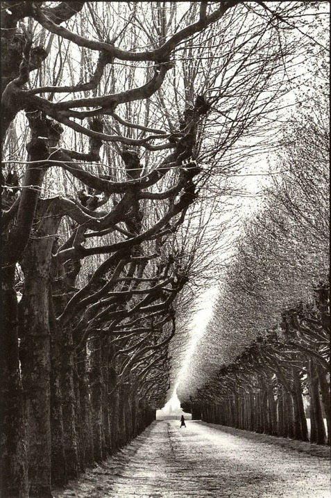 Martine Franck
Observatoire de Meudon, France, 1991