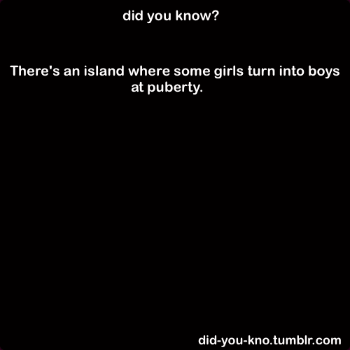 did-you-kno:  On a lush tropical island in a remote area of the Caribbean something,