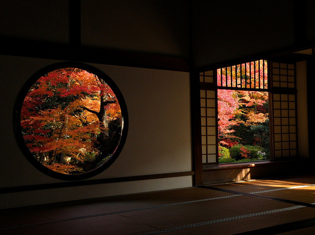 the-vainglory:  Six Months Later by Matsuura on Flickr. 