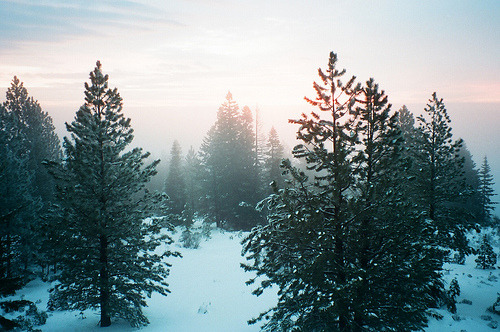 Sweet Escape