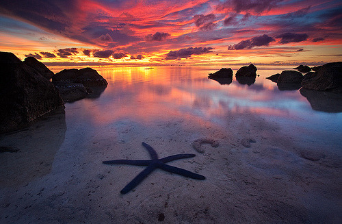 The Shallow Seas | Aitutaki Beach, South Pacific© AndersonImages