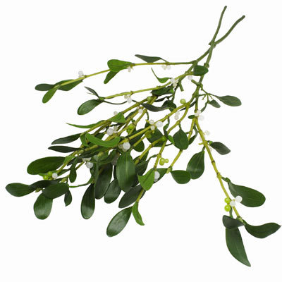 Porn Pics Christmas Mistletoe.