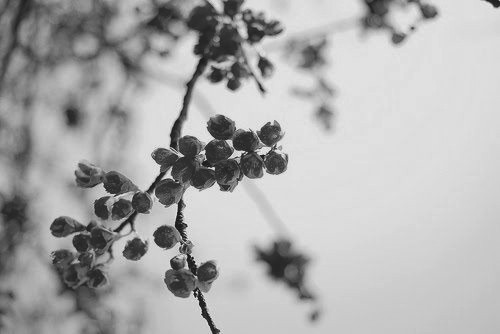 so fragile yet so devious