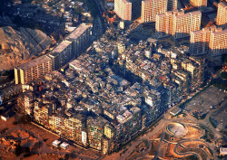 theastralcity:  Inspired by another post here on Tumblr, I decided to look into the Kowloon Walled City in Hong Kong a bit more, it truly was one of the most amazing and terrifying places on earth.  Being slightly smaller than an NFL stadium, the structur