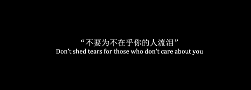 일본 / 韓国