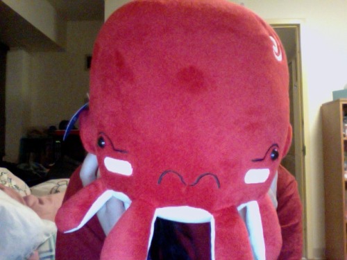wongfuproductions:  My brand new awkward octopus which I got as an early christmas present. It’s bigger than my head. I love it so much!!! :D Submitted by gracelikeaflood 