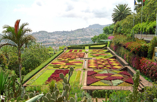 photo by !eberhard on Flickr.Funchal Botanic Garden - Madeira, Portugal.