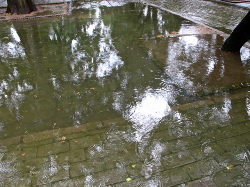 Water, Water Everywhere.