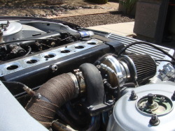 2jzcoupe:  My 1jz single turbo in a s13 coupe with a v-mount Elevens paint and fiber engine bay paint. 