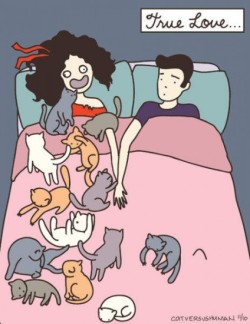 iwantyouhere:  (via Piccsy :: True Love)  Graham and me in a few years. Graham being covered in cats, obviously.