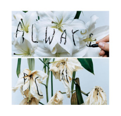 nevver:  Always 