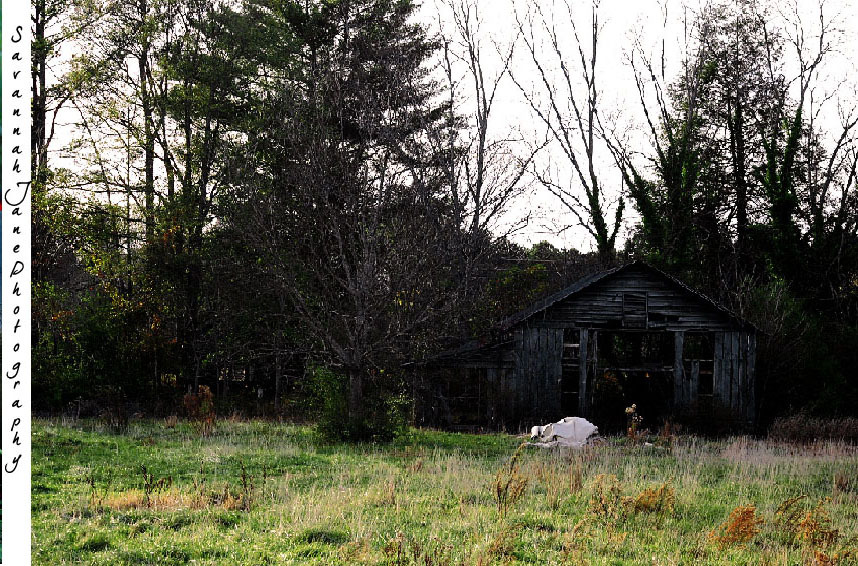 savyyy:  Savannah Jane Photography 