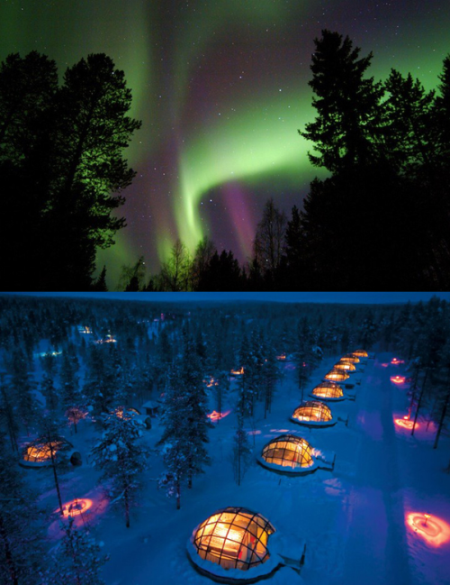 szymon:  Glass igloos at Hotel Kakslauttanen for fantastic view of northern lights
