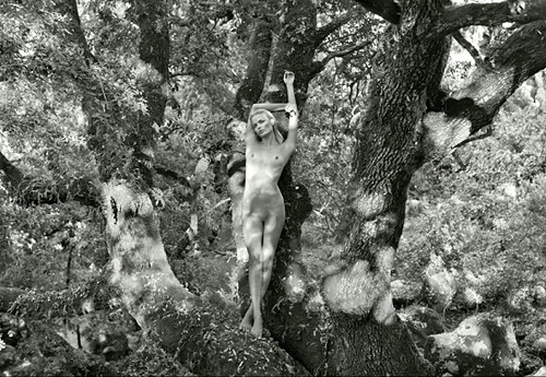 XXX Pirelli 2012 Calendar photo