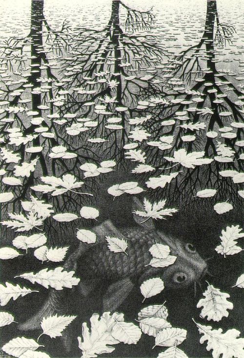 cavetocanvas:Three Worlds - MC Escher, 1955