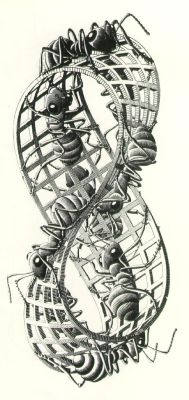 cavetocanvas:  Moebius Strip II (Red Ants) - MC Escher, 1963