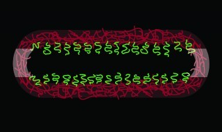 Using clever but elegant design, University at Buffalo chemists have synthesized tiny, molecular cages that can be used to capture and purify nanomaterials.
“Sculpted from a special kind of molecule called a “bottle-brush molecule,” the traps consist...