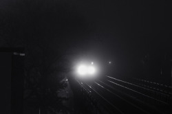 deshaunicus:  I really love how fog exaggerates