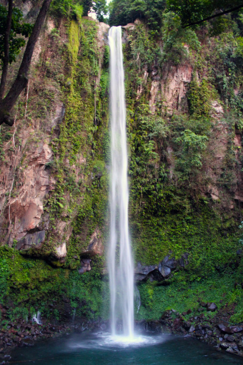 I used to live in Transylvania county in North Carolina and Transylvania County is considered “The Land of Waterfalls.” I found dozens of waterfalls but I suspect there are hundreds. I was 20 years old back then and I was kind of crazy. I