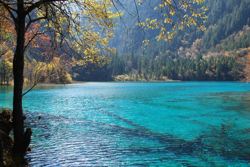 photo by seanfrom on Flickr.Jiuzhaigou Valley - Sichuan, China.