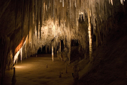 photo by daecon on Flickr. Hastings Cave - south of Hobart, Tasmania.