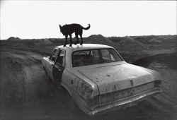 arsarteetlabore:Wim Wenders, Dusk in Coober