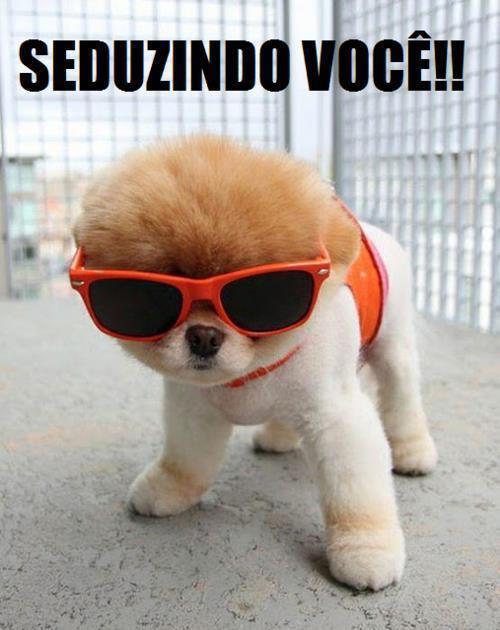 Todos ri -NN