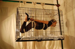 Come-To-The-Edge:suspended Inside A Suspended Cage. I Am Intrigued. Well Sure Maybe