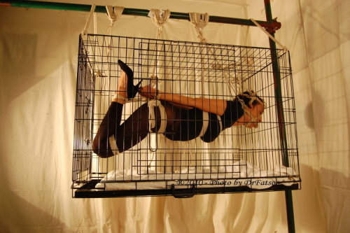 come-to-the-edge: Suspended inside a suspended cage. I am intrigued.