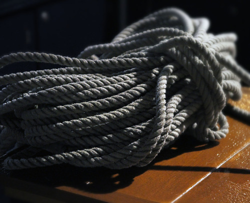 kieljamespatrick: I love rope.  Rope me love.  Love I Rope.  Loopier Me. 