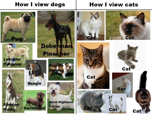 the-absolute-funniest-posts:  Follow this blog, you’ll love it on your dashboard! 