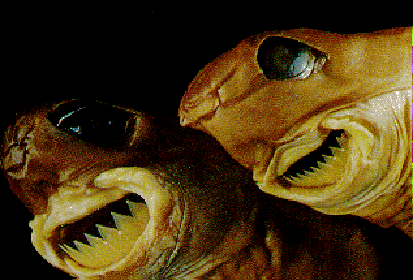 Everyone loves cookies. Cookies are fun! The Cookie Monster is cute!
Yes, well the fun and cute end with the cookie-cutter shark, because the “cookie” in its name is more accurately described by “bloody hunk of carved flesh”. Thankfully, the shark’s...